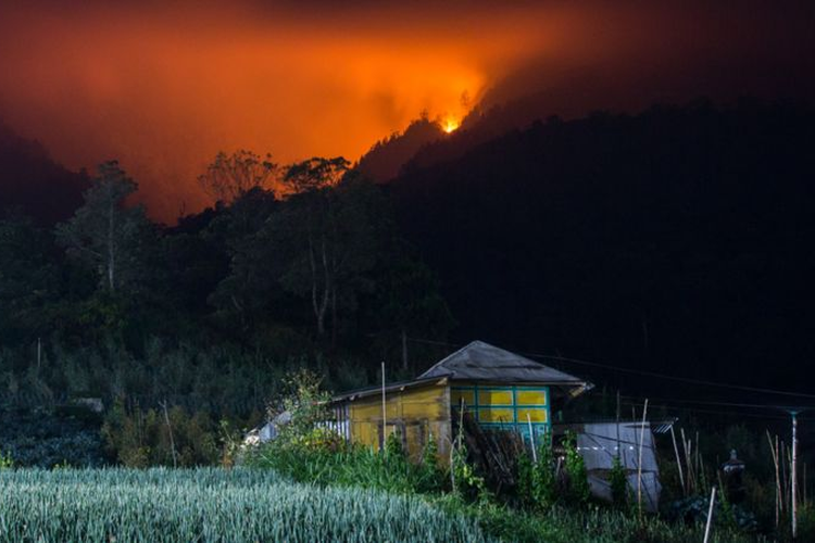 Kobaran api membakar hutan dan lahan Gunung Lawu di Jenawi, Karanganyar, Jawa Tengah, Jumat (6/10/2023) malam.