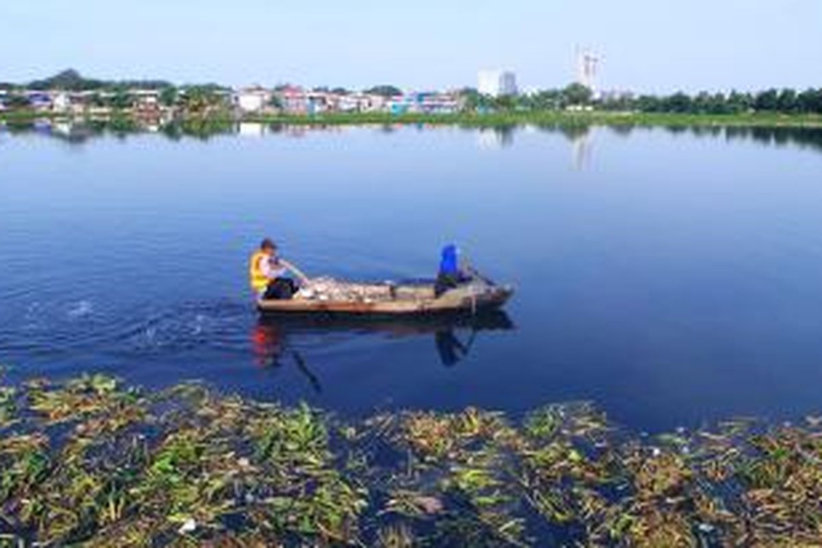 Permukaan Waduk Ria Rio nampak lebih bersih setelah eceng gondok yang menutupi sebelumnya diangkat dari atas permukan air, Senin (2/9/2013).