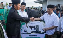 Gubernur Jateng Serahkan Sapi Kurban Seberat 906 Kg untuk Warga Huntara Tegal