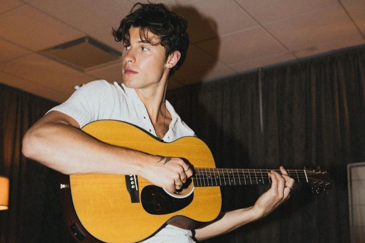 Penyanyi Shawn Mendes