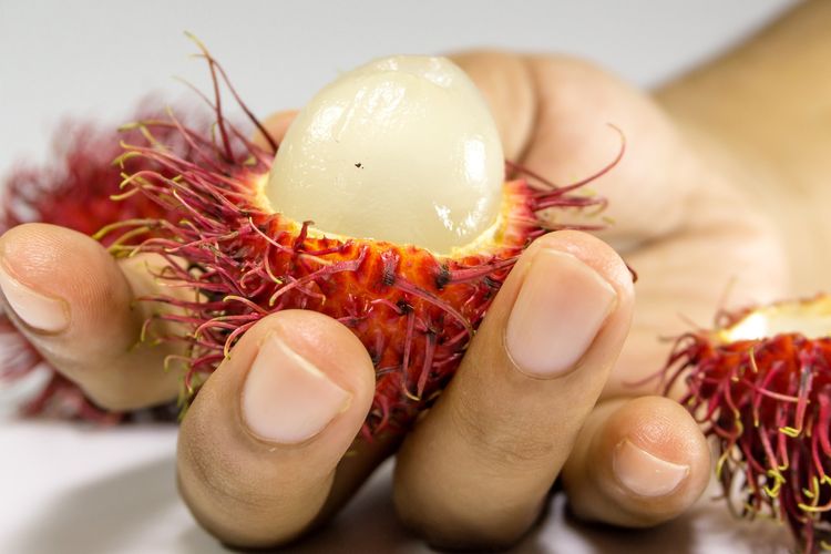 Rambutan illustration. Rambutan fruit is useful mangobati and prevent various diseases