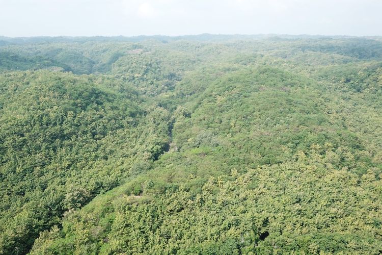 Foto udara Kawasan Suaka Margasatwa Paliyan.