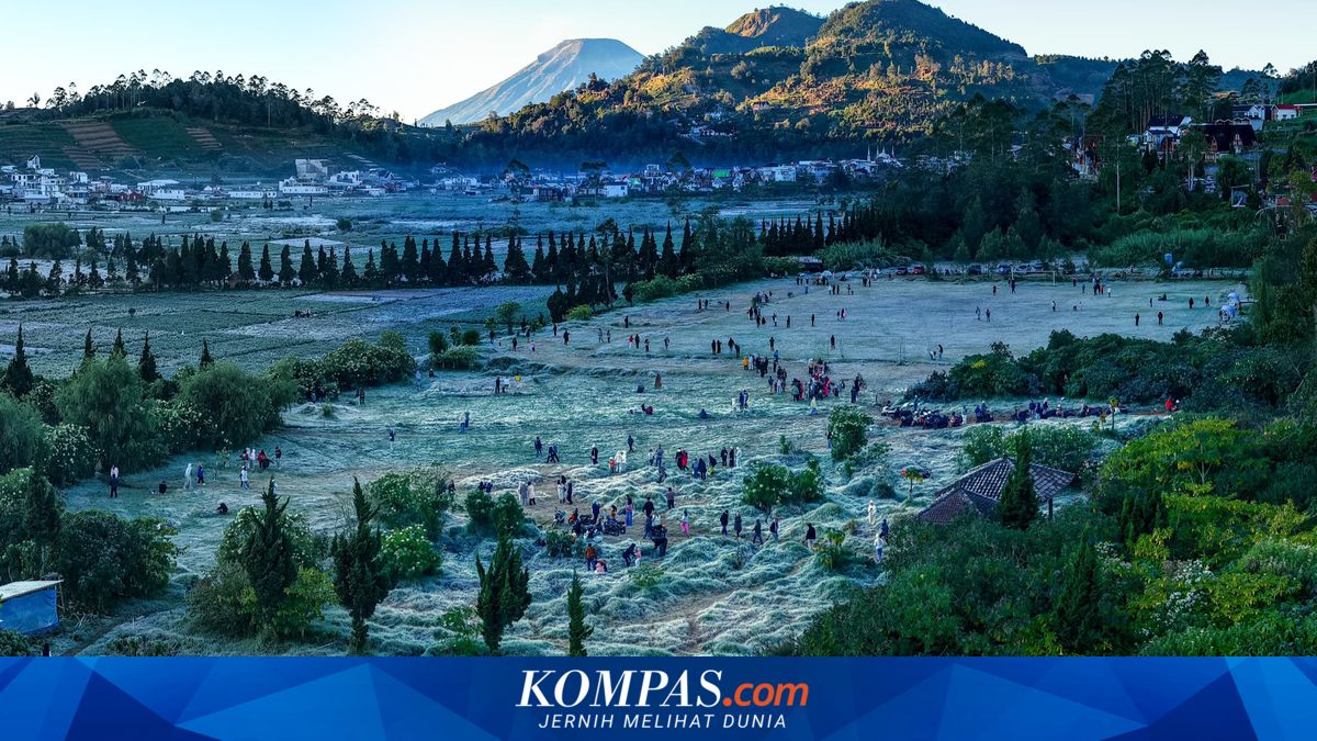Suhu Minus 6 Derajat Celsius, Dieng Kembali Membeku