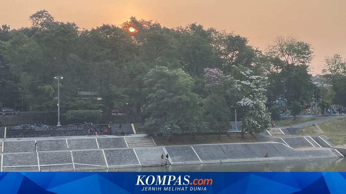Menikmati Sore di Banjir Kanal Barat Semarang, Saat Sungai Surut dan Tabebuya Bermekaran