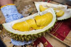 Durian Sultan Bandung, Tempat Makan Durian Musang King di Bandung