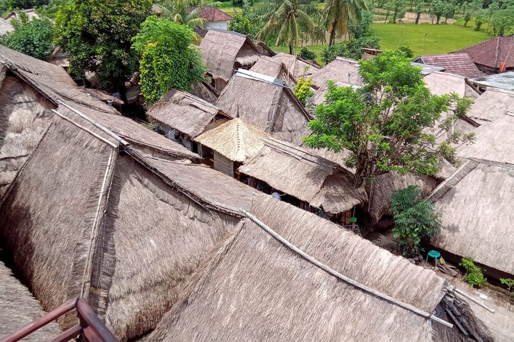 Pohon cinta di Desa Sade, Lombok Tengah, Nusa Tenggara Barat (NTB)