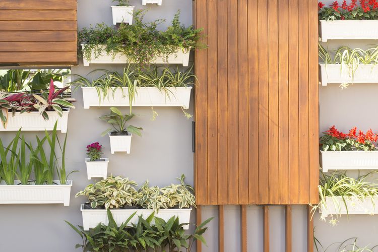 Ilustrasi vertical garden