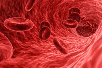 Hemofilia: Gangguan Sistem Peredaran Darah yang Langka dan Serius
