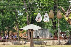 Harga Tiket Savanna Zipline di Solo Safari, Wahana untuk Terbang di Atas Satwa Afrika