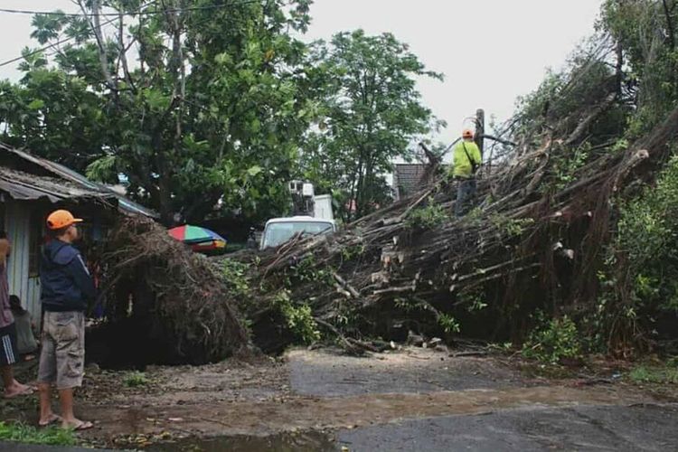 Sebuah pohon tumbang akibat angin puting beliung  menimpa salah satu rumah warga, Minggu (29/12/2019).