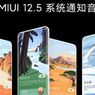 Daftar Ponsel Xiaomi yang Kebagian MIUI 12.5