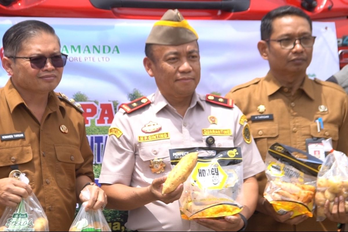 Karo, Kompas. com, Kepala Balai Besar Karantina Hewan Ikan dan Tumbuhan (BBKHIT) Sumatera Utara, saat mengituti Launcing Ekpor Kentang dan Ubi jalar, di Desa gurusinga, Kecamatan Berastagi, Kabupaten karo, Selasa (06/05/2025)