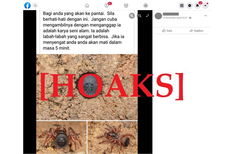 Tangkapan layar hoaks laba-laba sangat berbisa yang bisa membunuh dalam 5 menit, di Facebook.