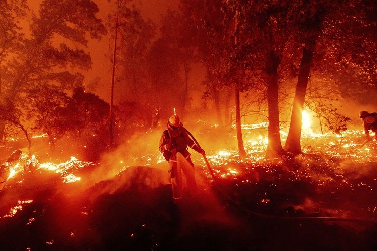 Foto arsip 7 September 2020 menampilkan seorang petugas pemadam kebakaran berupaya memadamkan Creek Fire, karena membahayakan rumah-rumah di lingkungan Cascadel Woods, Madera County, California.