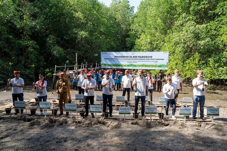 Yayasan Astra Honda Motor (AHM) menggelar aksi menanam 20.000 mangrove di kawasan Kawasan Ekonomi Esensial (KEE) Teluk Pangpang, Banyuwangi, Jawa Timur