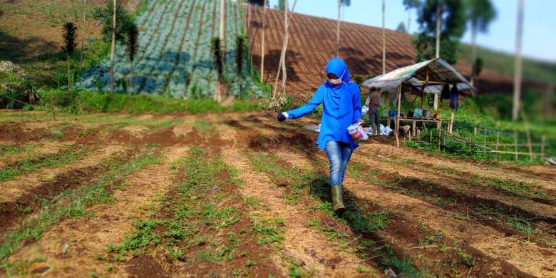 Seamao Biotrop Smk Akan Jadi Ujung Tombak Pengembangan Pertanian Indonesia Halaman All Kompas Com