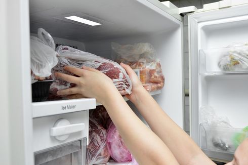 Mengapa Freezer Mengeluarkan Suara Mendengung? Ini Penyebabnya