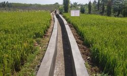 Indeks Pertanaman Petani Bengkulu Utara Naik Berkat RJIT Kementan