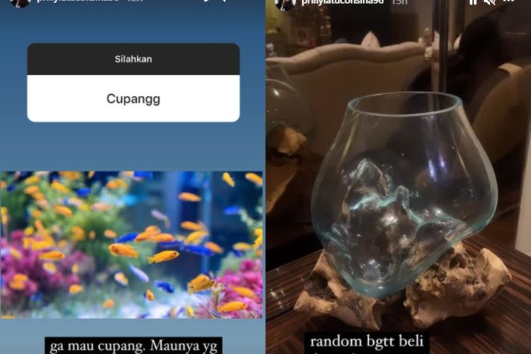 Prilly Latuconsina membeli akuarium baru.