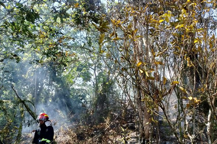 BPBD Nunukan Imbau Warga Tak Membuka Lahan dengan Membakar