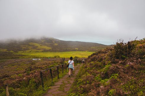 Tarif Masuk Galapagos Akan Naik per Agustus 2024, mulai Rp 1 Juta 