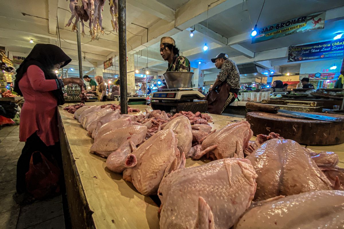 Komoditas ayam potong mengalami kenaikan harga diduga akibat masifnya diserap oleh dapur MBG di wilayah Kabupaten Bandung Barat (KBB), Jawa Barat, Rabu (17/9/2025).