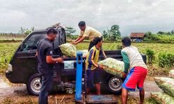 Kementan Klaim Sukses Kembangkan Lahan Kering di Banten