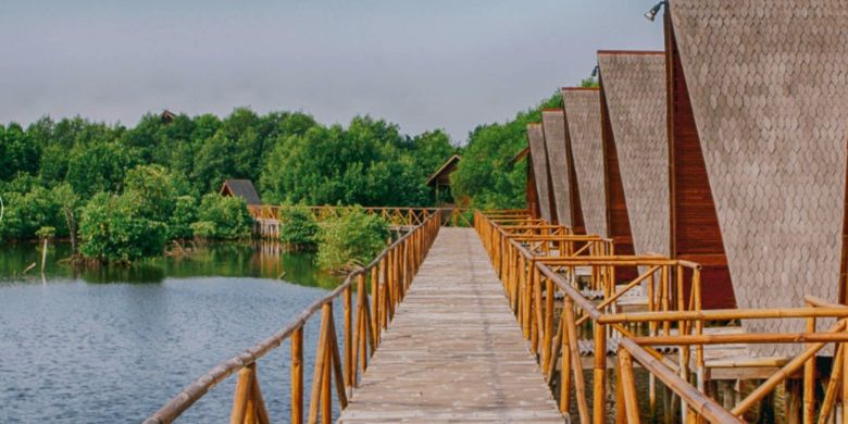 Taman Wisata Alam Mangrove Jakarta