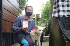 21.052 Ekor Anjing di Buleleng Divaksinasi untuk Cegah Rabies