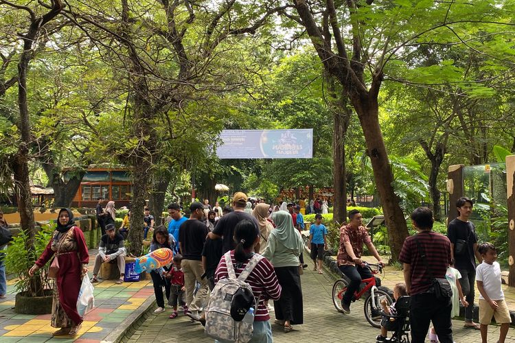 Pengunjung di Kebun Binatang Surabaya (KBS), Selasa (16/4/2024).