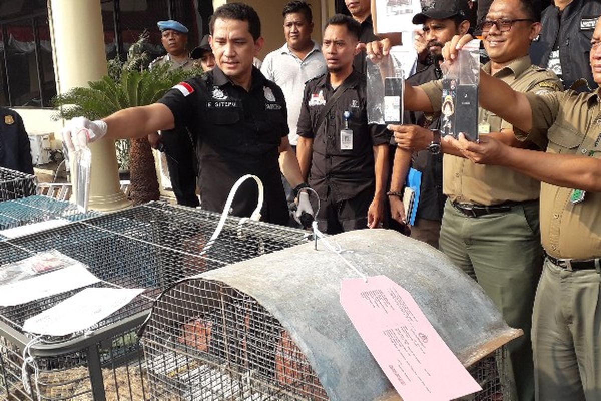 Polres Metro Jakarta Barat mengungkap kasus penjualan satwa liar yang dilindungi pada Selasa (31/7/2018).