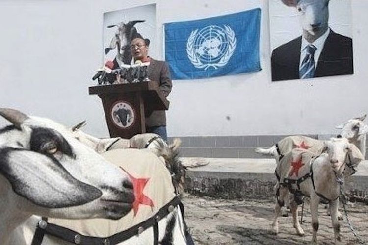 Aksi seni performance perupa Heri Dono, berupa orasi budaya pada sekelompok kambing di Galeri Nasional (2010).  Karena manusia-manusia sudah tidak ada yang peduli pada  harkat kemanusiaannya sendiri. Foto: Usman Iskandar