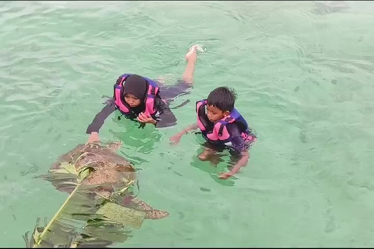 Anak anak bermain bersama penyu di Pulau Derawan. Penyu jinak menjadi daya tarik tersendiri bagi Pulau Derawan, di Berau, Kaltim