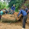 Hujan Semalaman, Pohon Besar Tumbang Tutup Akses Jalan Madiun-Ponorogo