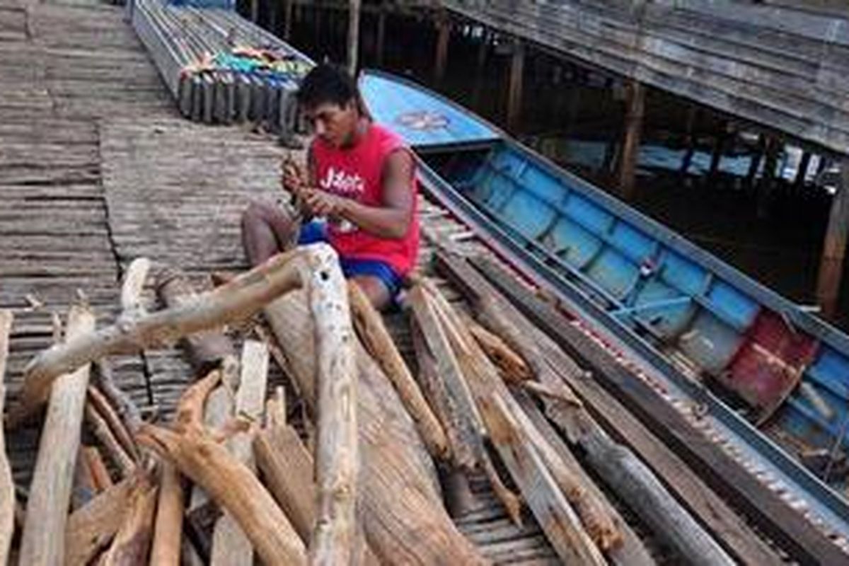 Salah seorang warga bajo di Desa Hakatutobu yang sedang membelah kayu bakar.