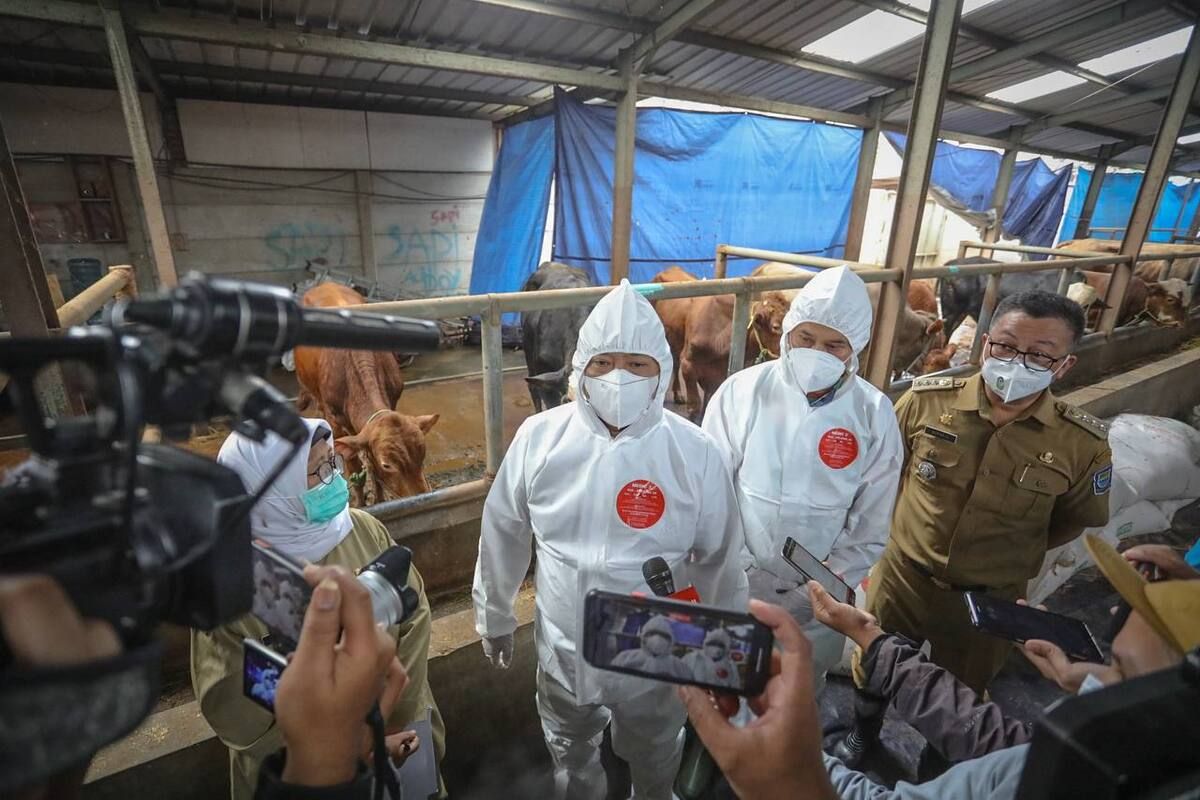 Wali Kota Bandung Yana Mulyana memantau langsung pemberian vaksin penyakit mulut dan kuku (PMK) kepada sapi bibit di Jalan Caringin Gang Lumbung, Babakan Ciparay, Kota Bandung, Senin (27/6/2022).
