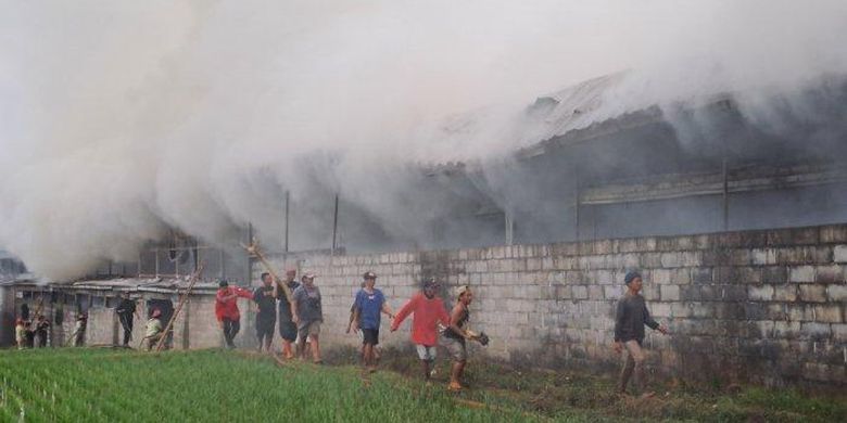 Petugas Damkar beserta warga bergotongroyong memadamkan api di peternakan ayam Desa Kluwut Kecamatan Wonosari, Kabupaten Malang, Minggu (17/9/2023). 
