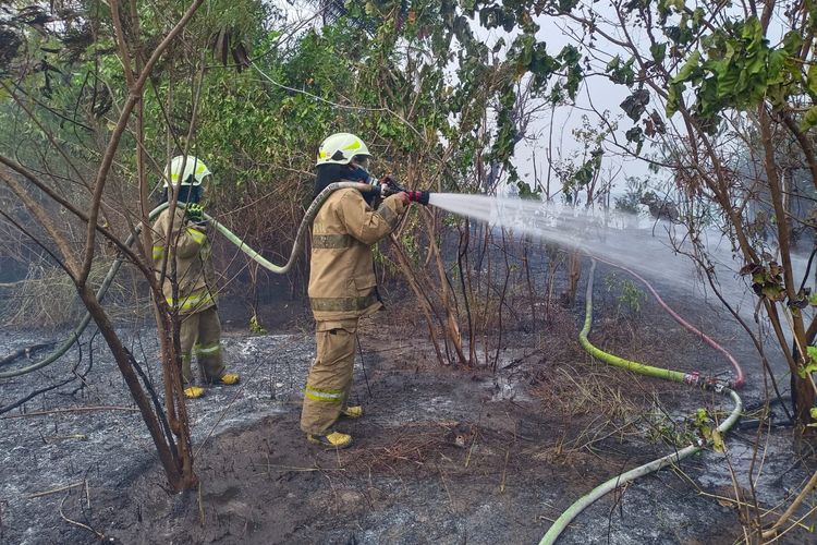 Alang-alang Seluas 300 Meter Persegi di Pulau Tidung Terbakar, Diduga akibat Puntung Rokok