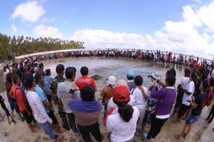 Peserta Festival Manam'mi mengelilingi titik kumpul terakhir sambil menunggu petunjuk dari tetua adat untuk menangkap ikan secara bersama-sama. Festival Manam'mi berlangsung di Pulau Miangas, Kabupaten Kepulauan Talaud, Sulawesi Utara.
