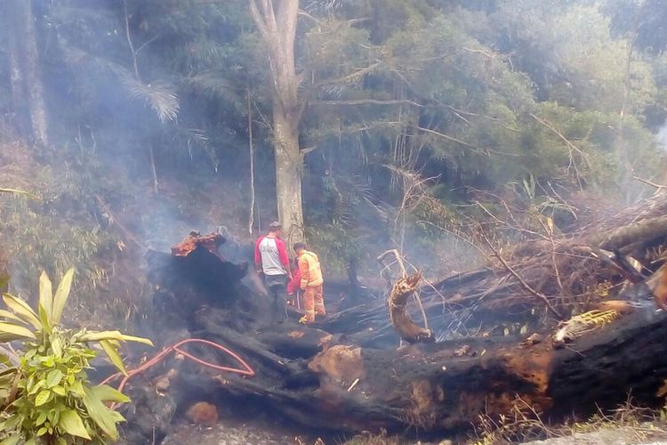  Sebuah pohon beringin berusia ratusan tahun di dusun Dangkel, desa Banyubiru, Kecamatan Banyubiru, Kabupaten Semarang, Jumat (3/11/2017) siang terbakar hebat. 