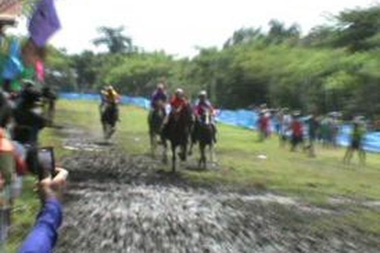 Lomba pacuan kuda bisa menjadi wahana mengisi waktu liburan Anda di Polewali Mandar, Sulawesi Barat. Menyenangkan sekaligus mendebarkan.  