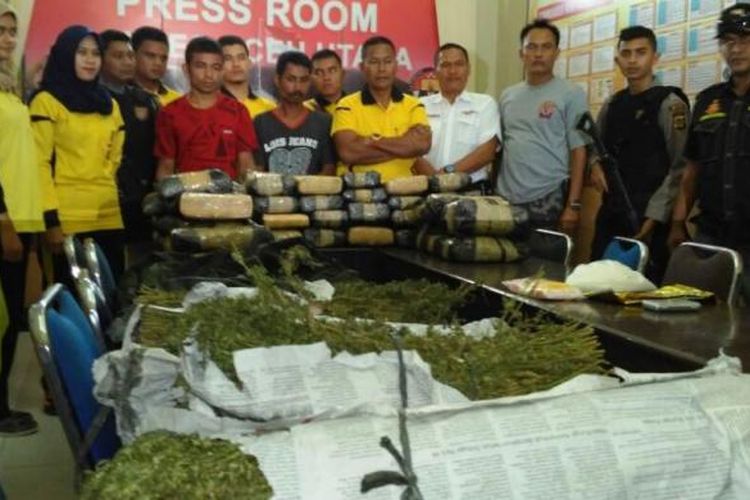 Polisi memperlihatkan tersangka pemilik 45 bal ganja di Mapolres Aceh Utara, Sabtu (11/2/2017)
