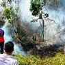 MUI Haramkan Deforestasi, Membakar Hutan, dan Lahan