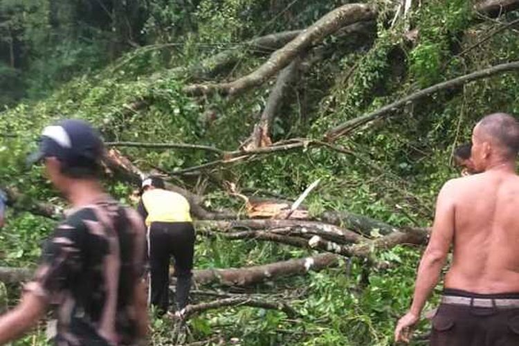 Warga tengah bergotong royong membersihkan material pohon tunbang yang menutup jalan di Bandung Barat, Senin (9/5/2022).