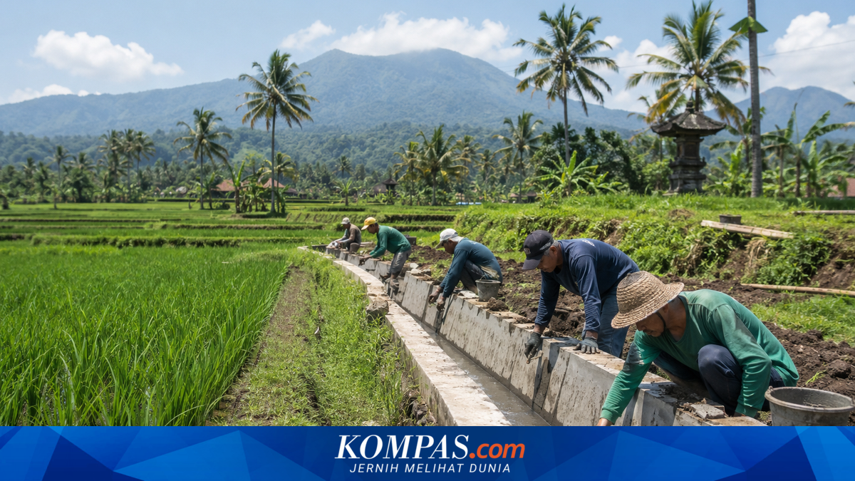 Kementerian PU Bangun Irigasi di 78 Lokasi Bali, Gianyar Terima Porsi Terbanyak