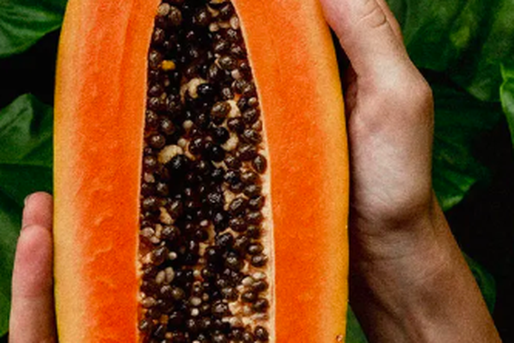 Ilustrasi buah pepaya. 