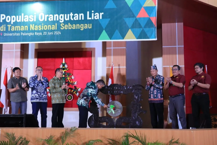 Wakil Menteri Lingkungan Hidup dan Kehutanan Republik Indonesia Alue Dohong memukul gong usai pembukaan Seminar Nasional tentang Populasi Orangutan Liar di Taman Nasional Sebangau yang digelar di Universitas Palangka Raya (UPR), Kamis (20/6/2024).