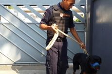 Dua Anjing Rottweiler Disiagakan di Wihara Ekayana