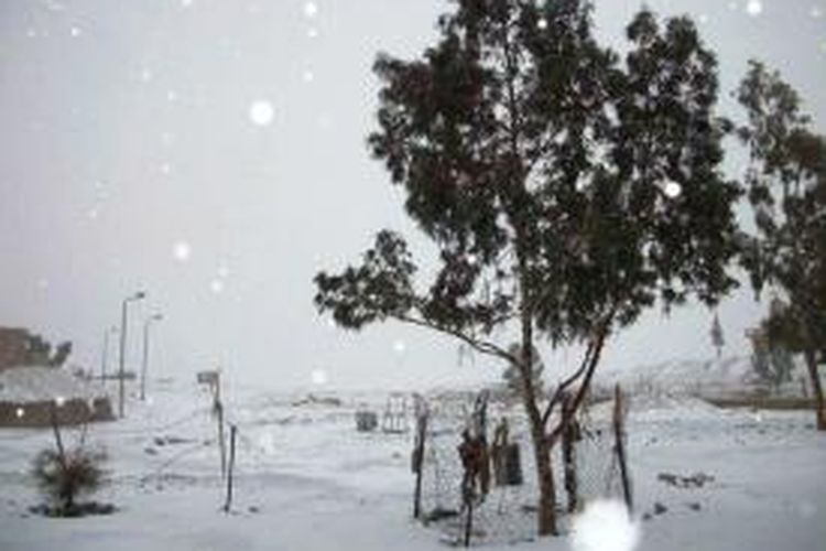 Salju menyelimuti Semenajung Sinai, sekitar 400 km tenggara Kairo, pada Jumat (13/12/2013).