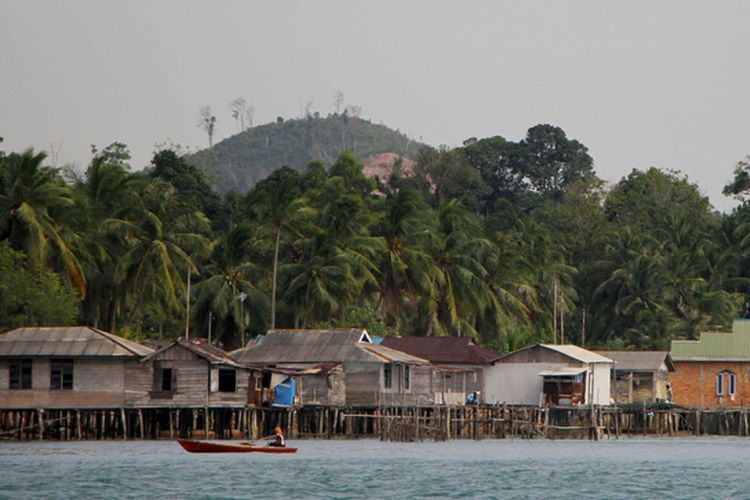 Salah seorang nelayan Kampung Monggak, Kelurahan Rempang Cate, Kecamatan Galang, Batam, Kepri mengaku saat hendak menjaring ikan Dingkis. Hasil panen kali ini tidak sebanyak hasil panen tahun lalu.